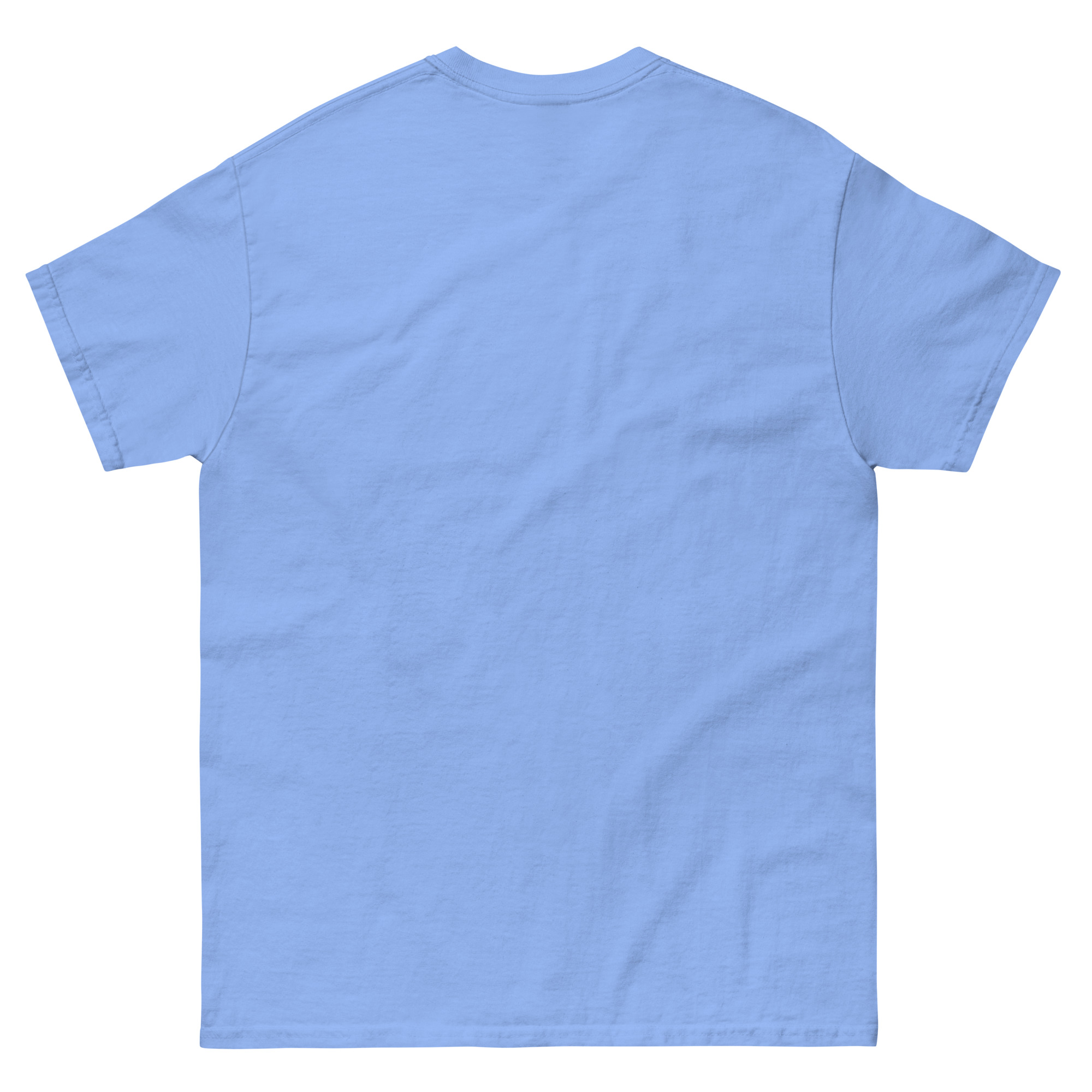 mens-classic-tee-carolina-blue-back-6630b5e9e3244.jpg